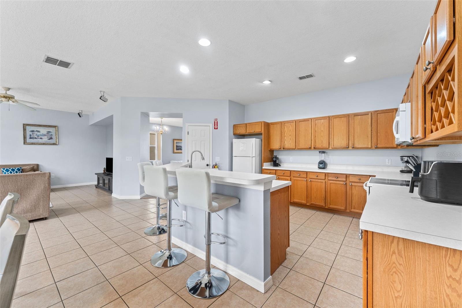 213 WILLOW VIEW DR, DAVENPORT, FL, 33896