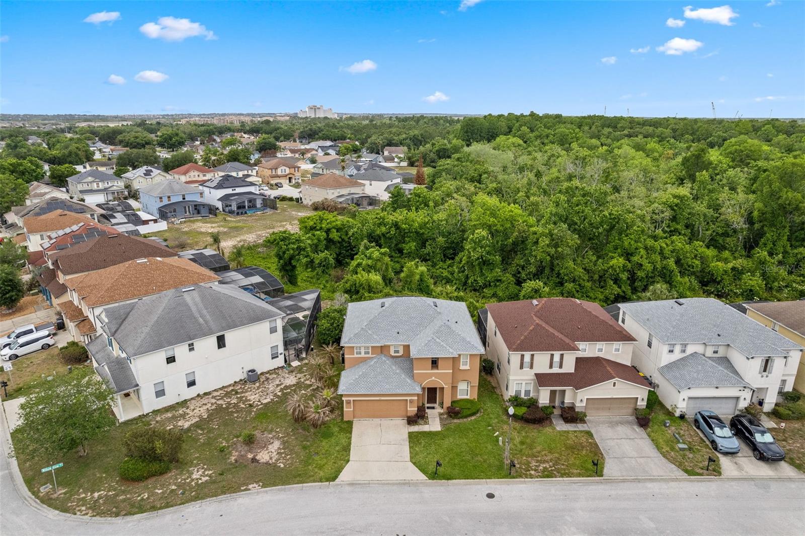 213 WILLOW VIEW DR, DAVENPORT, FL, 33896