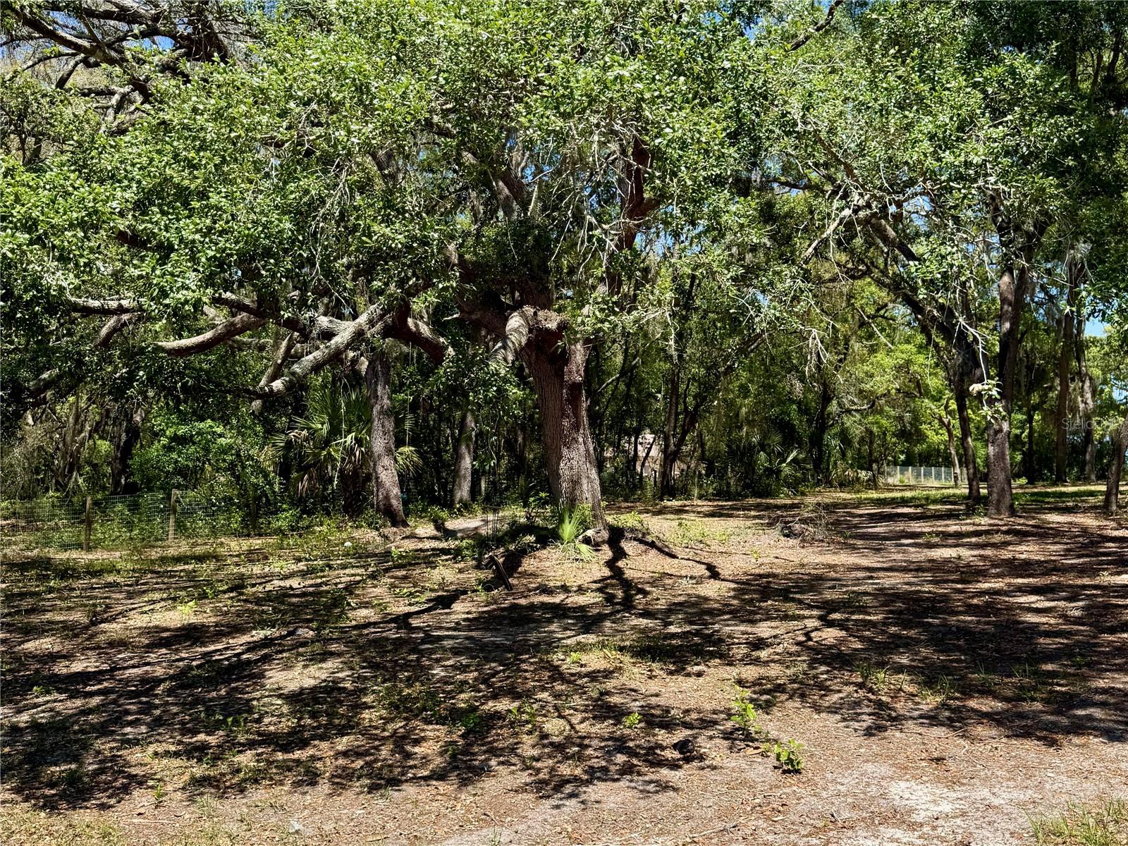 9711 SE HIGHWAY 464C, OCKLAWAHA, FL, 32179