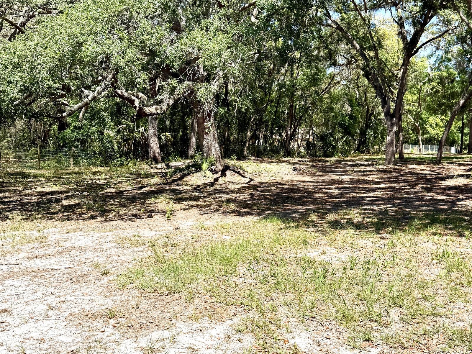 9711 SE HIGHWAY 464C, OCKLAWAHA, FL, 32179