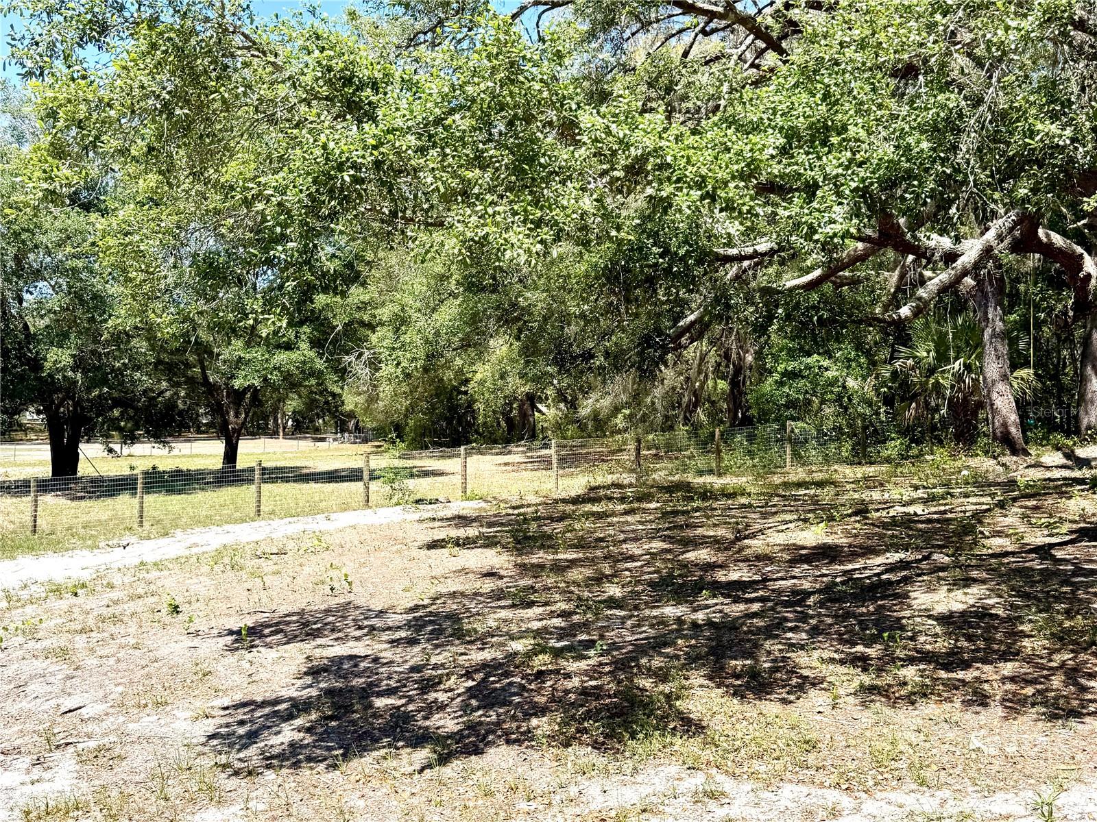 9711 SE HIGHWAY 464C, OCKLAWAHA, FL, 32179