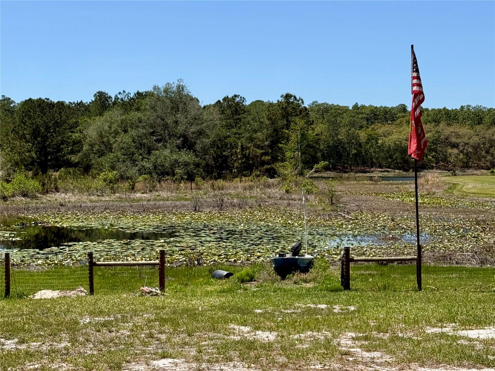 9711 SE HIGHWAY 464C, OCKLAWAHA, FL, 32179