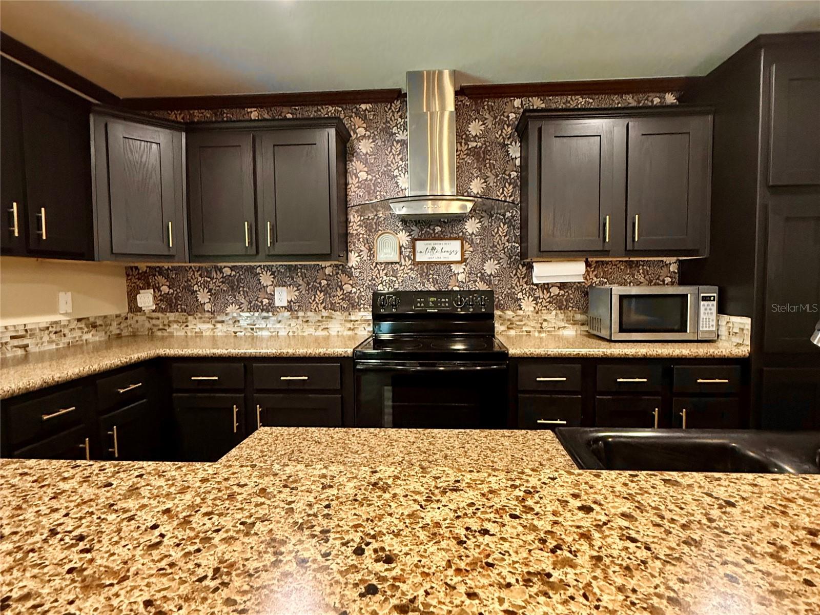 9711 SE HIGHWAY 464C, OCKLAWAHA, FL, 32179