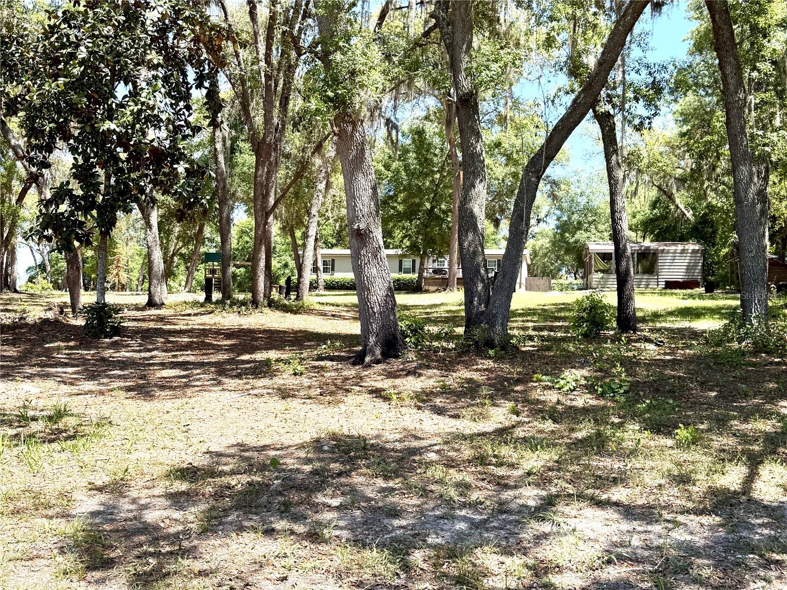 9711 SE HIGHWAY 464C, OCKLAWAHA, FL, 32179