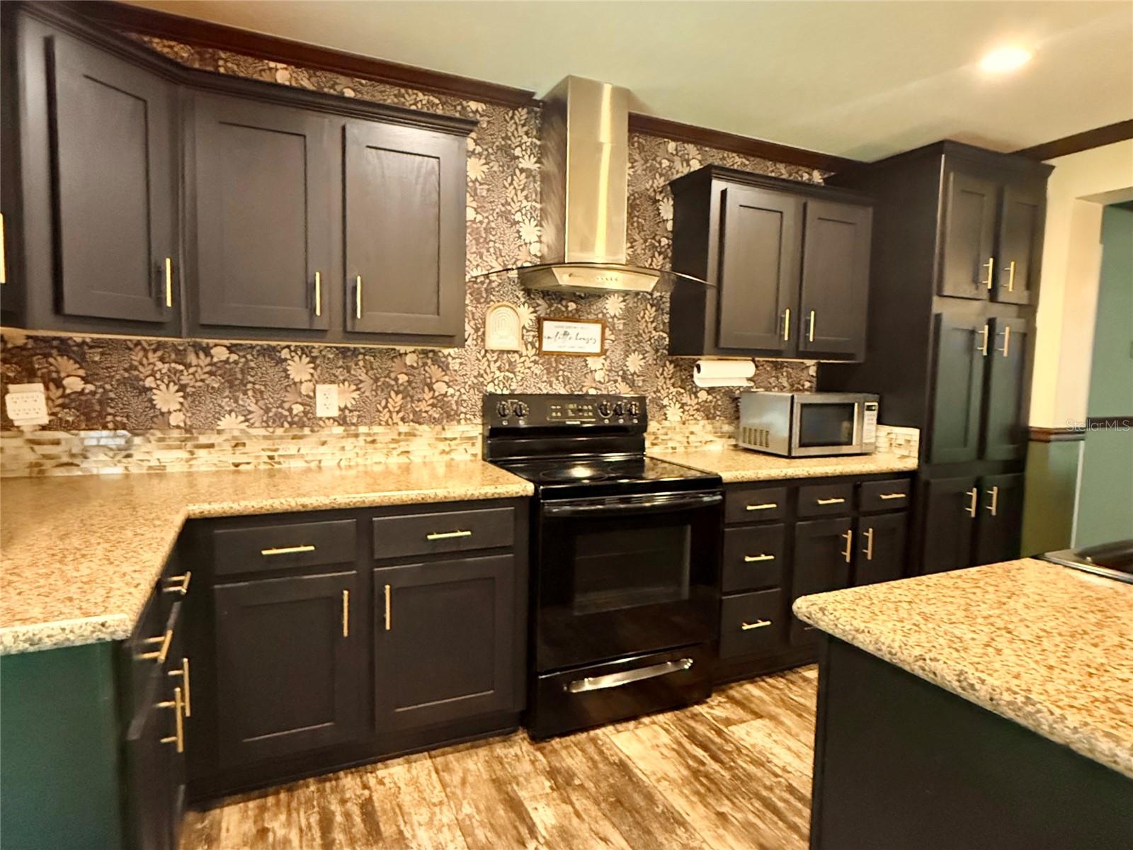 9711 SE HIGHWAY 464C, OCKLAWAHA, FL, 32179