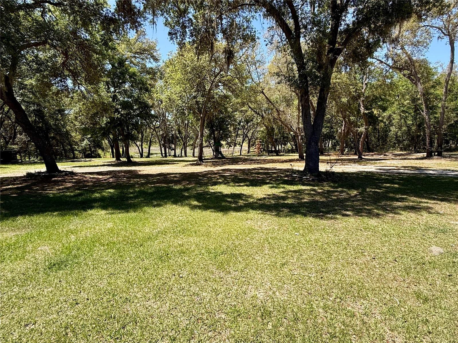 9711 SE HIGHWAY 464C, OCKLAWAHA, FL, 32179