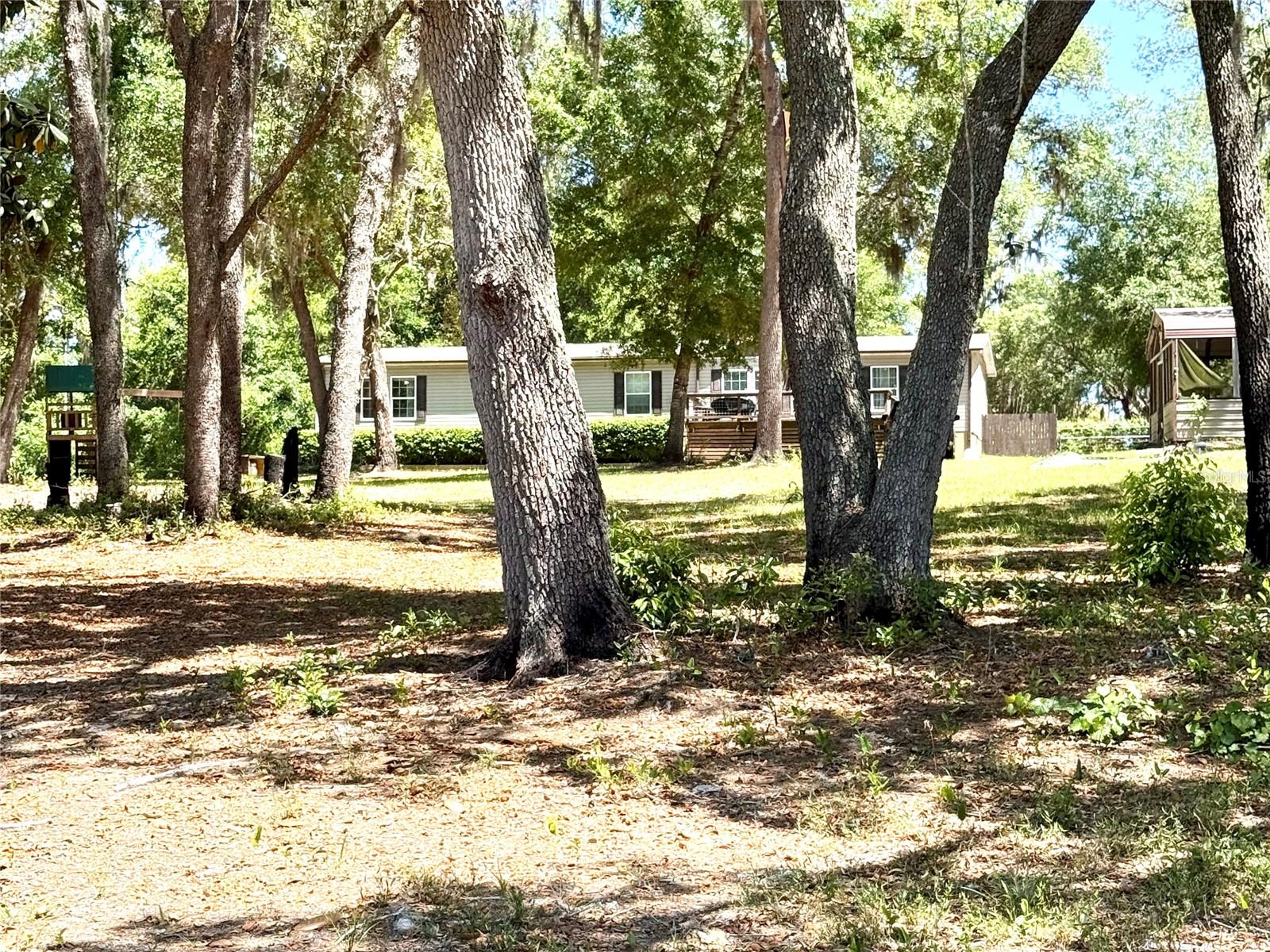 9711 SE HIGHWAY 464C, OCKLAWAHA, FL, 32179