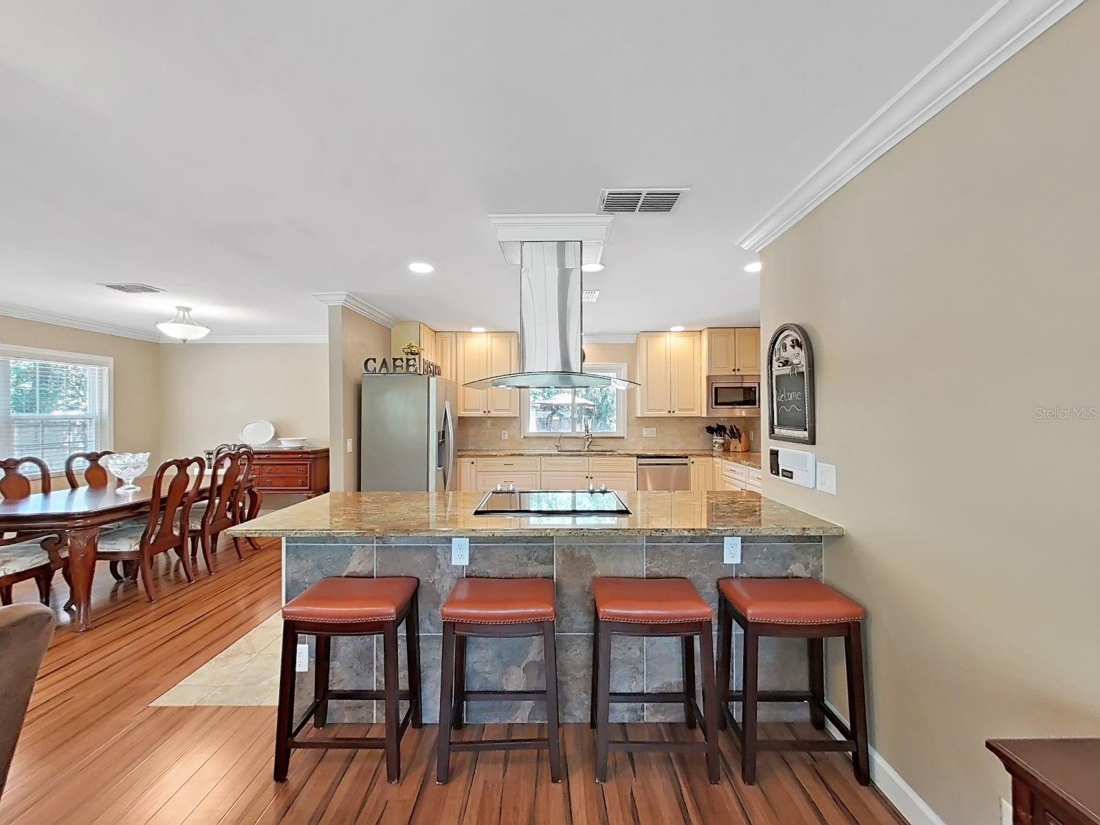 18835 TRACER DR, LUTZ, FL, 33549