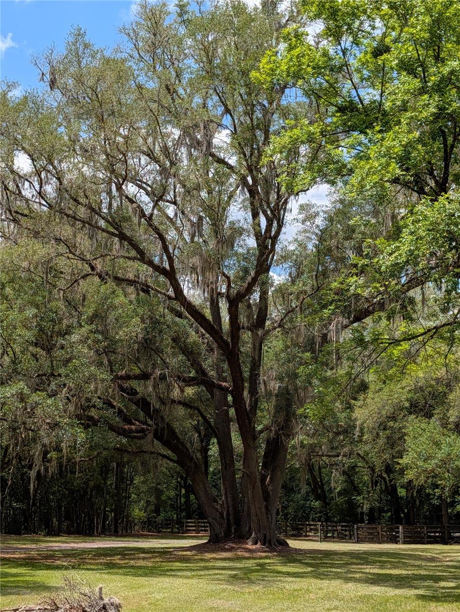 6407 NW COUNTY ROAD 235, ALACHUA, FL, 32615