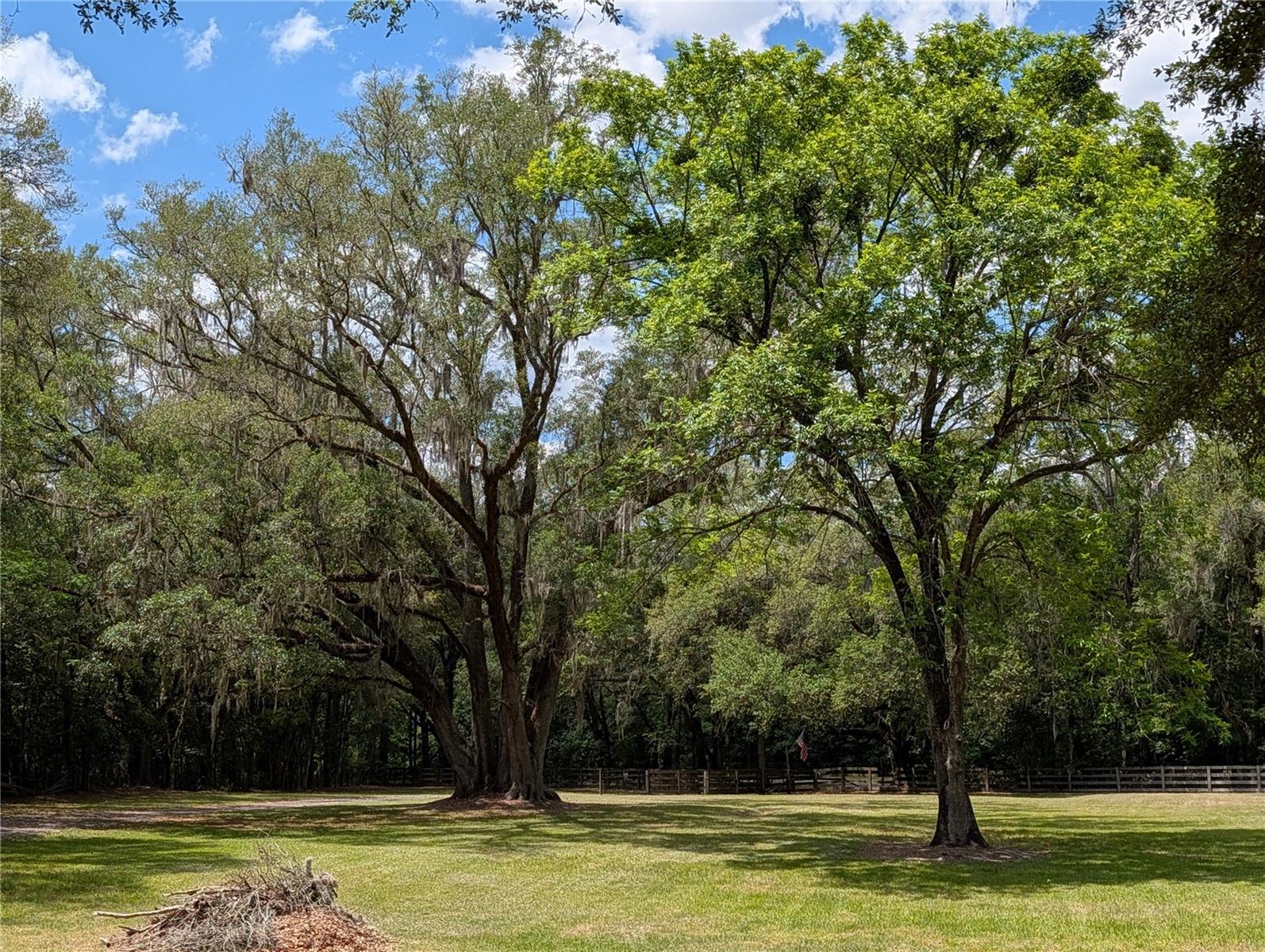 6407 NW COUNTY ROAD 235, ALACHUA, FL, 32615