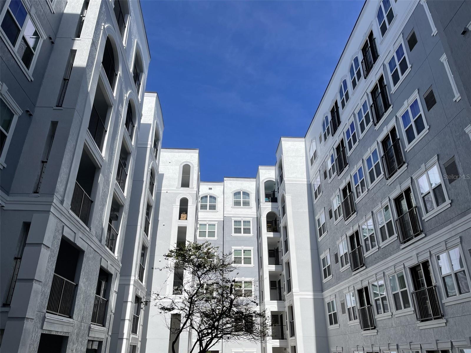 204 E SOUTH ST #3059, ORLANDO, FL, 32801