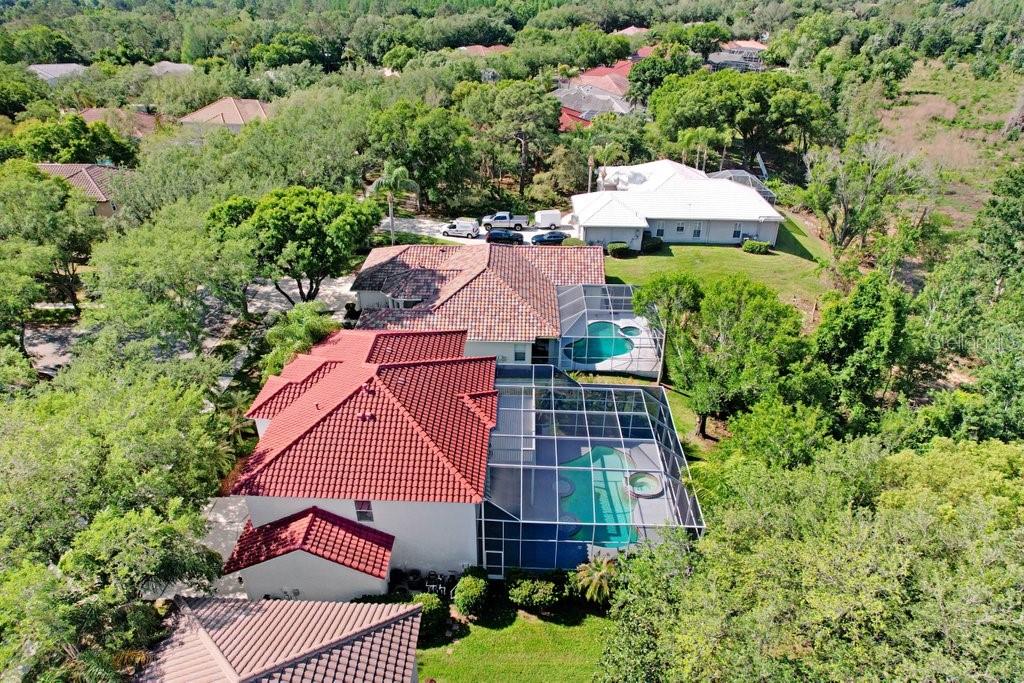 18124 COURTNEY BREEZE DR, TAMPA, FL, 33647