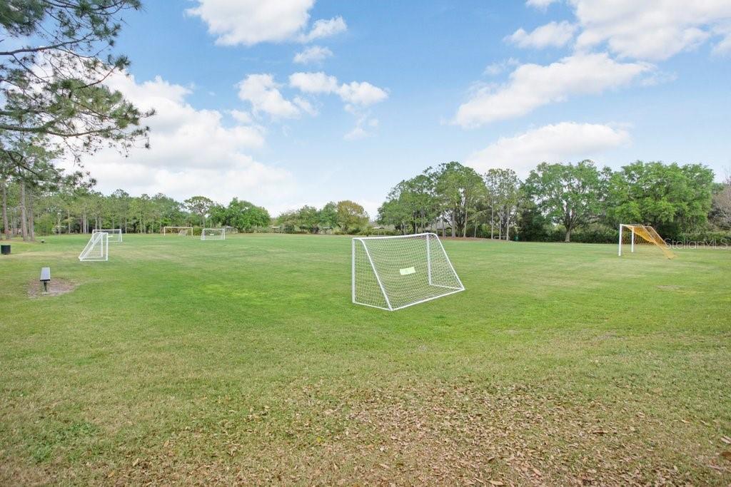 18124 COURTNEY BREEZE DR, TAMPA, FL, 33647