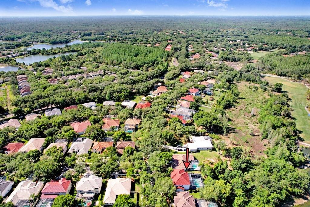 18124 COURTNEY BREEZE DR, TAMPA, FL, 33647