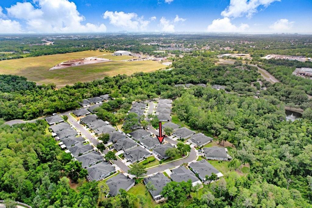 8531 ACORN RIDGE CT, TAMPA, FL, 33625