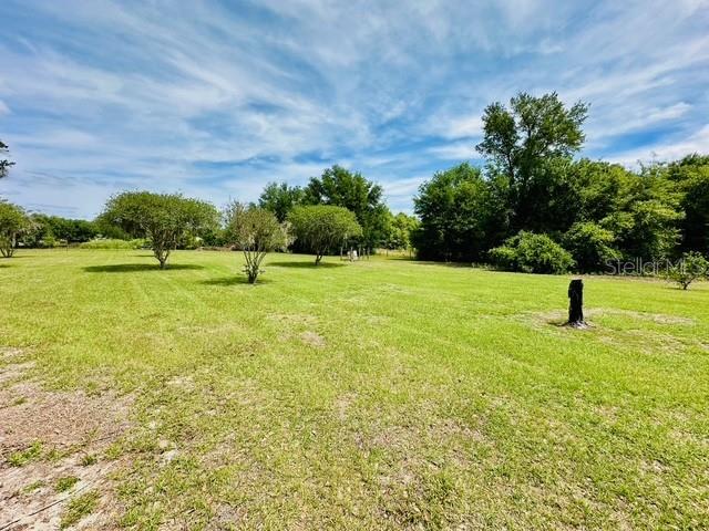 6814 REDWING RD, GROVELAND, FL, 34736