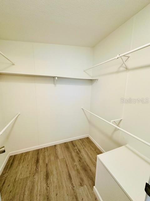 6814 REDWING RD, GROVELAND, FL, 34736