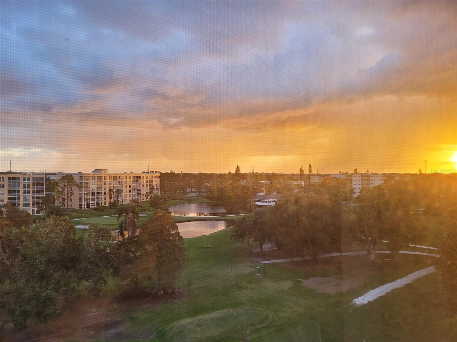 4460 FAIRWAYS BLVD #606, BRADENTON, FL, 34209