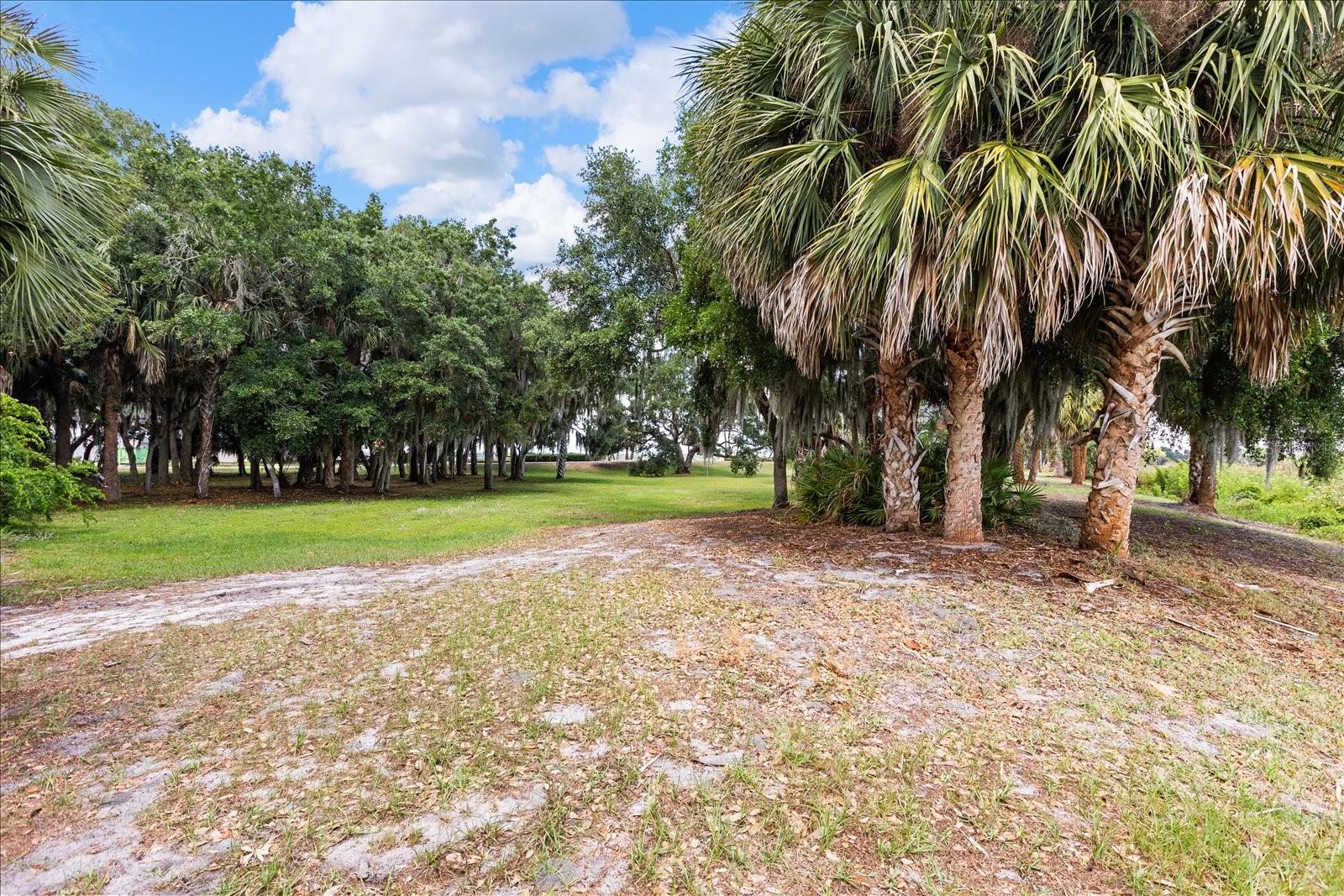 TBD DEER ISLAND RD, TAVARES, FL, 32778