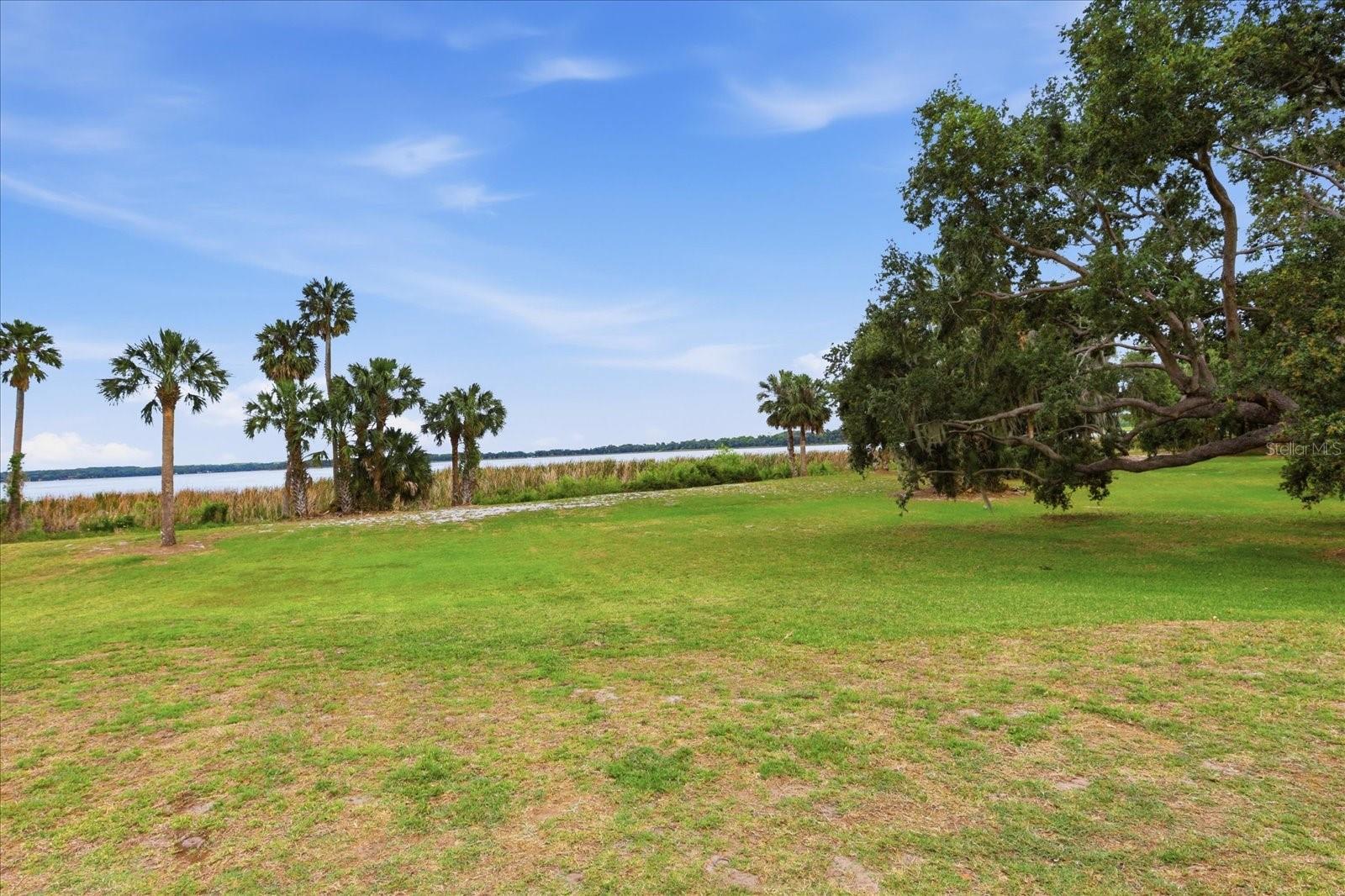 TBD DEER ISLAND RD, TAVARES, FL, 32778