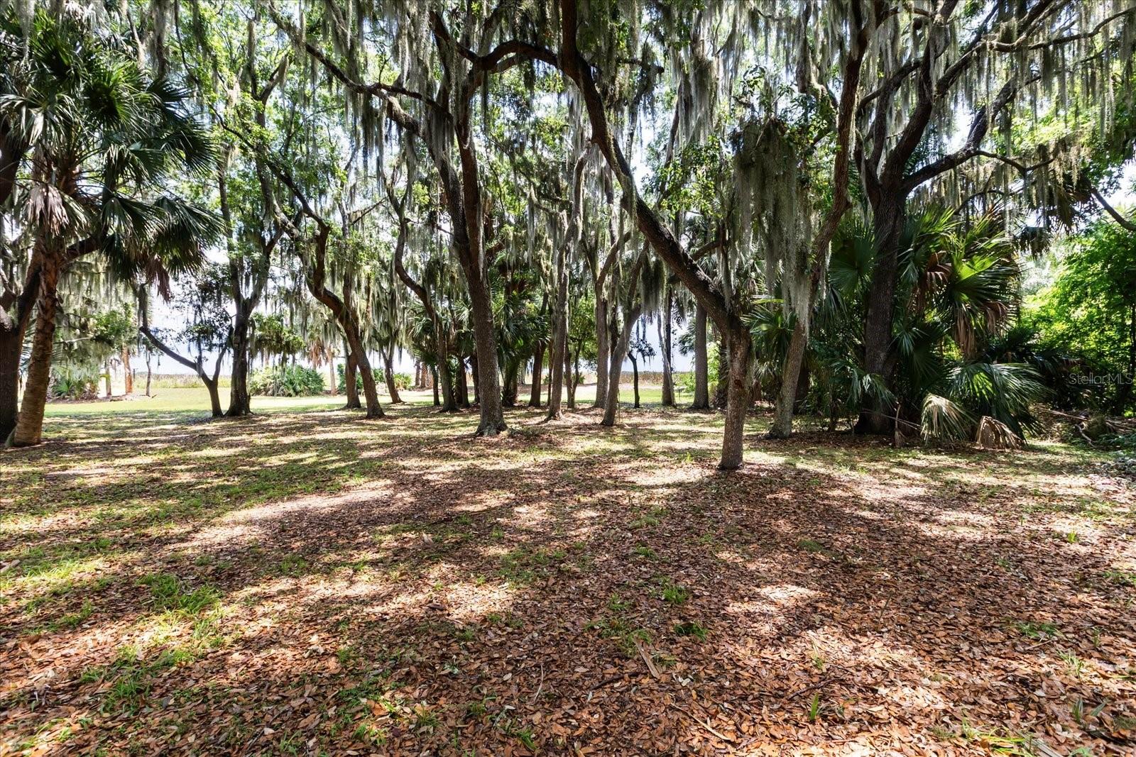 TBD DEER ISLAND RD, TAVARES, FL, 32778