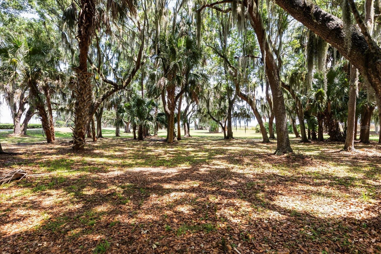 TBD DEER ISLAND RD, TAVARES, FL, 32778