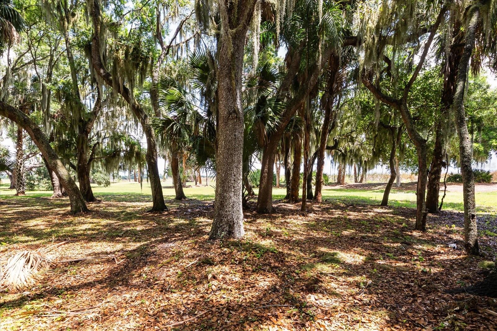 TBD DEER ISLAND RD, TAVARES, FL, 32778