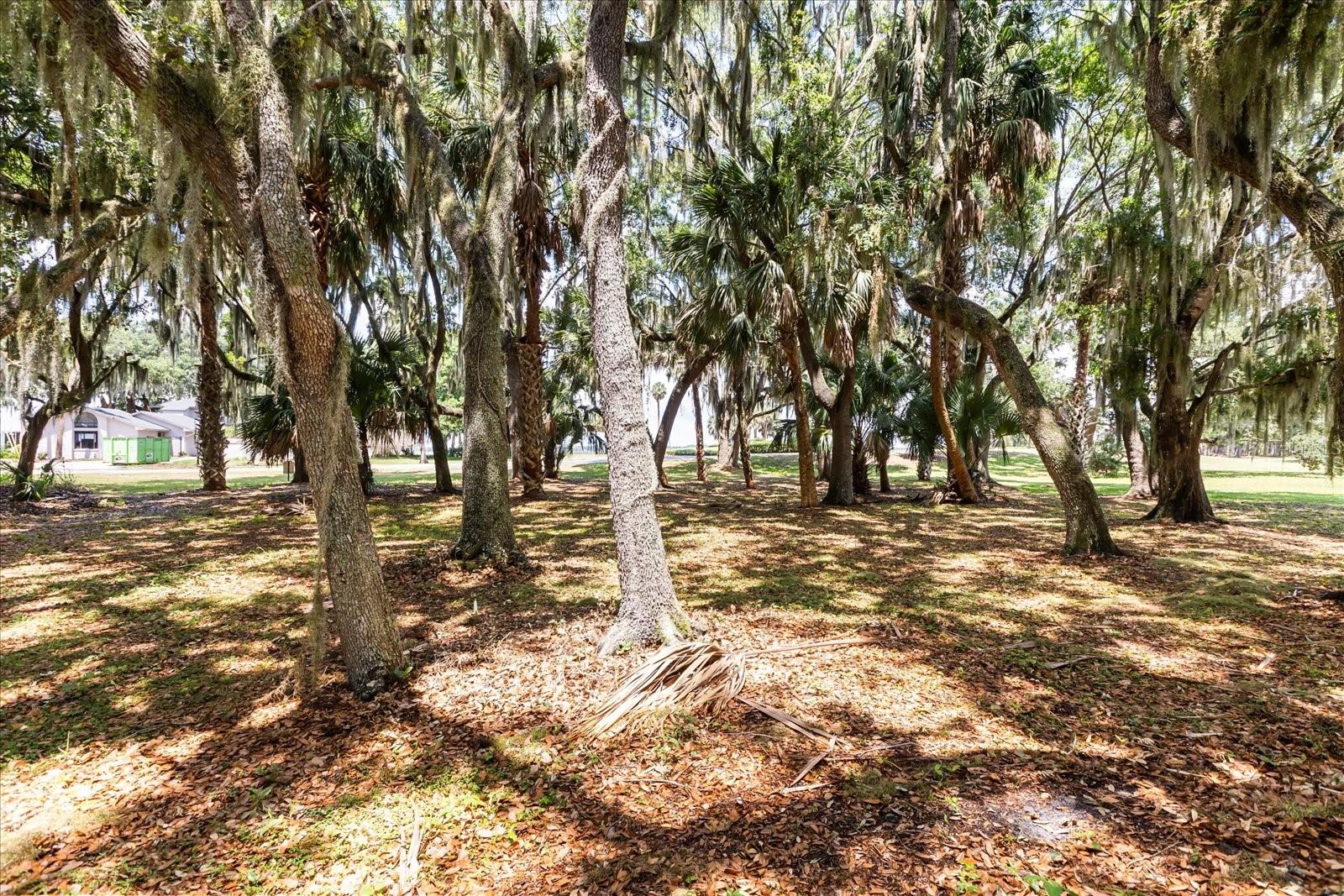 TBD DEER ISLAND RD, TAVARES, FL, 32778