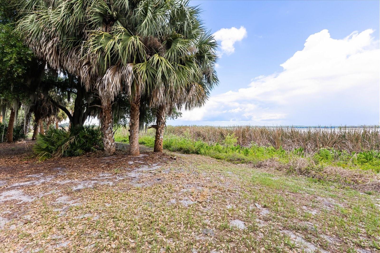TBD DEER ISLAND RD, TAVARES, FL, 32778