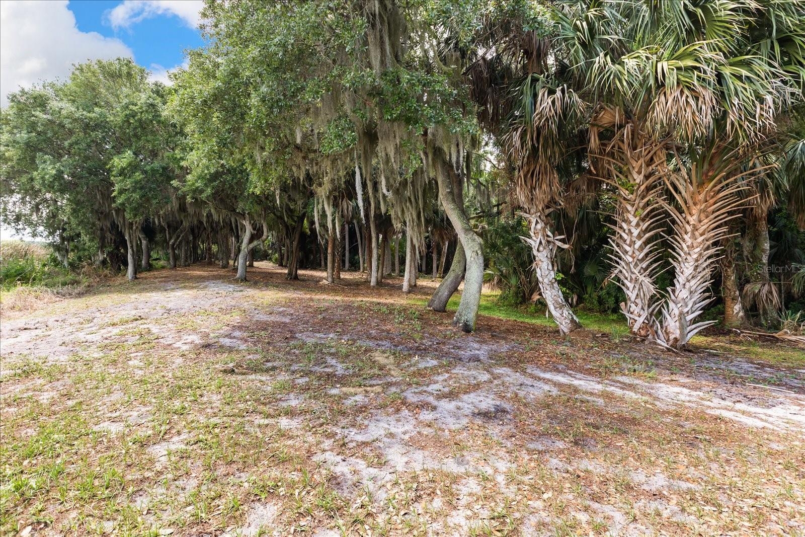 TBD DEER ISLAND RD, TAVARES, FL, 32778