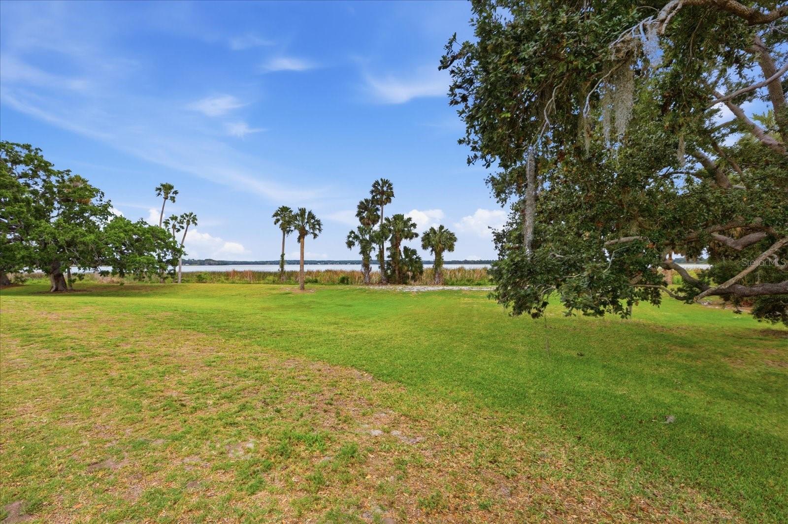 TBD DEER ISLAND RD, TAVARES, FL, 32778