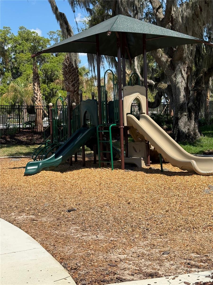 8362 GOWER TRL, WILDWOOD, FL, 34785