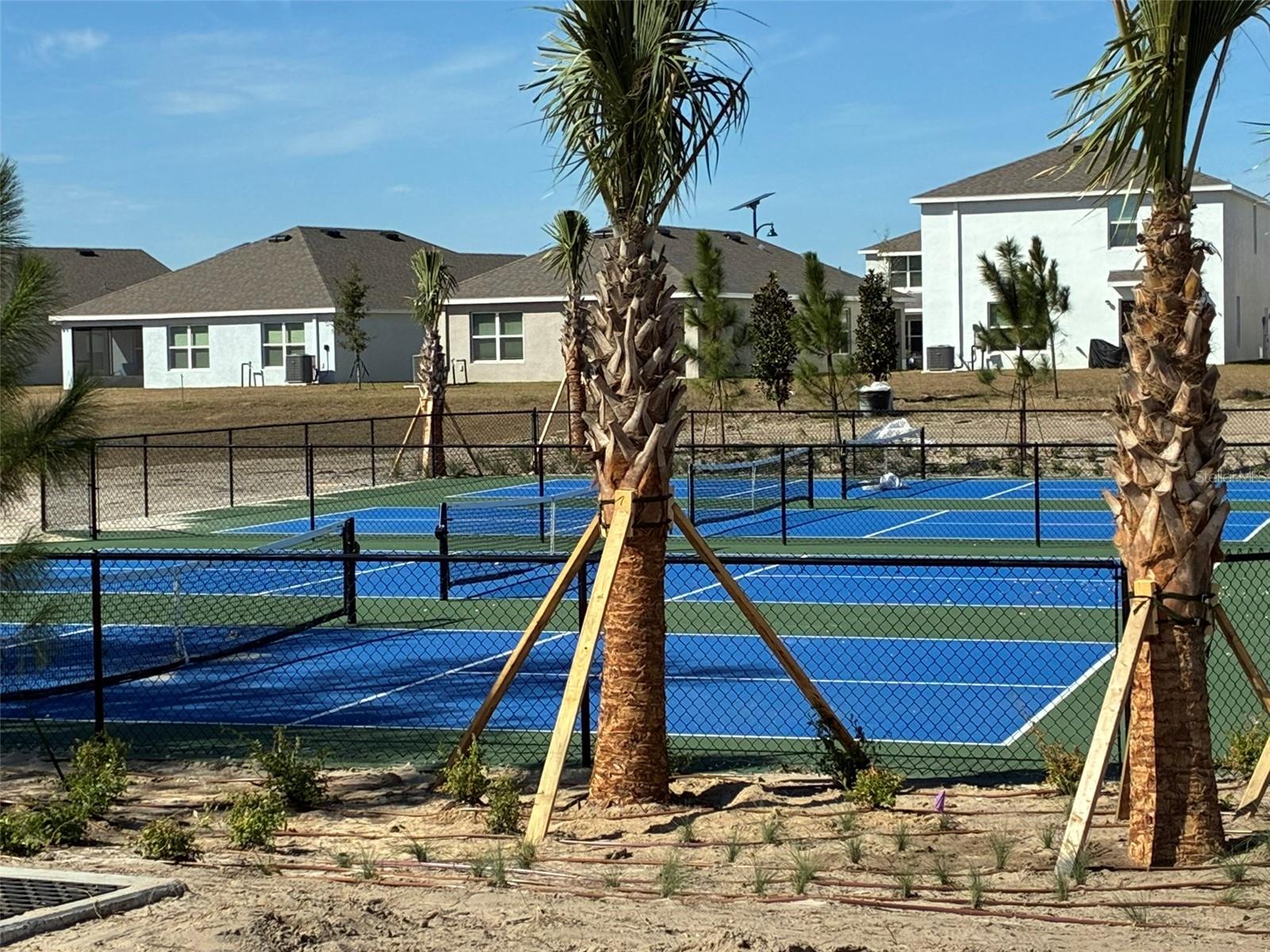 8362 GOWER TRL, WILDWOOD, FL, 34785