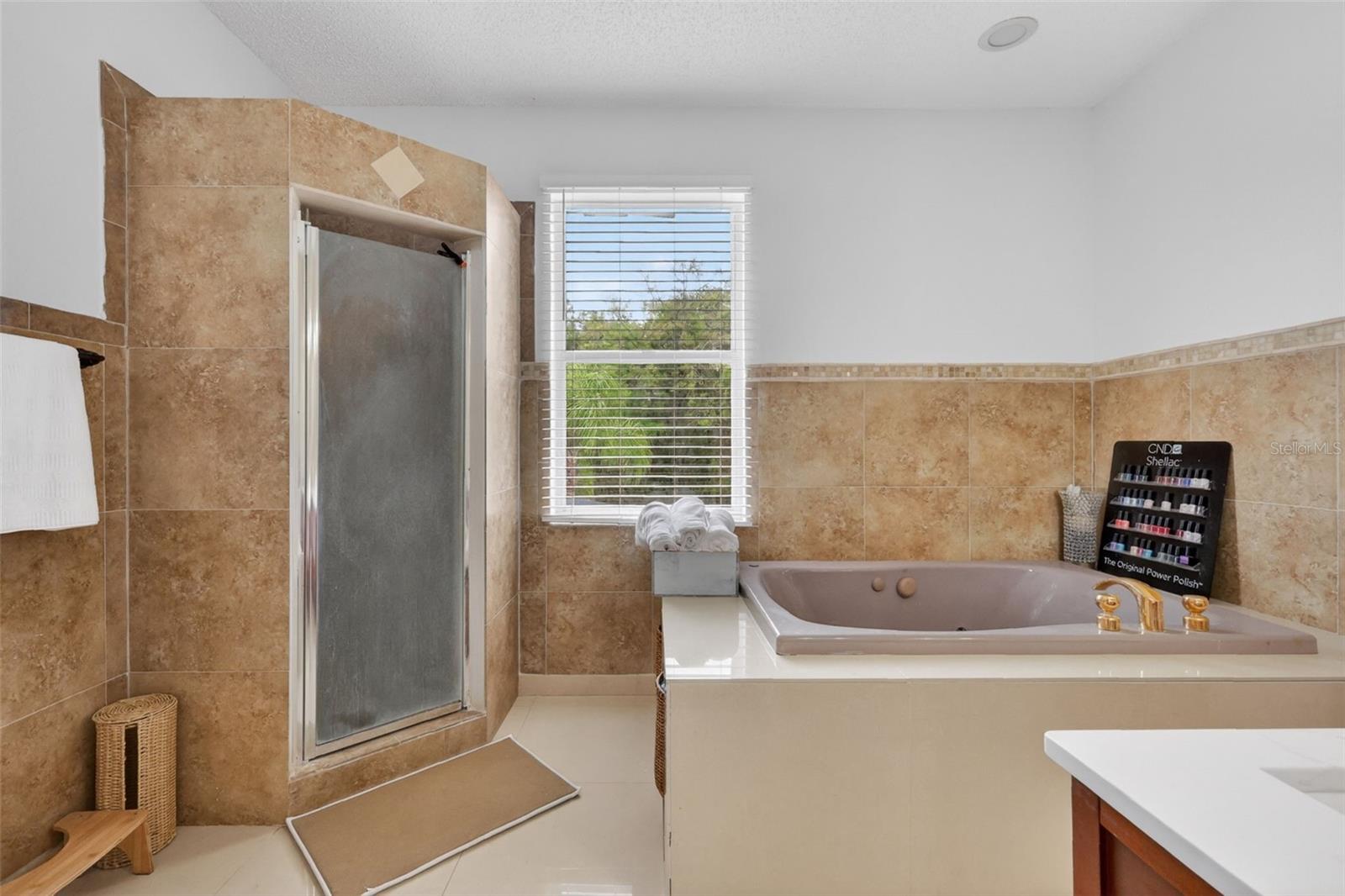 359 PEBBLE CT, MINNEOLA, FL, 34715