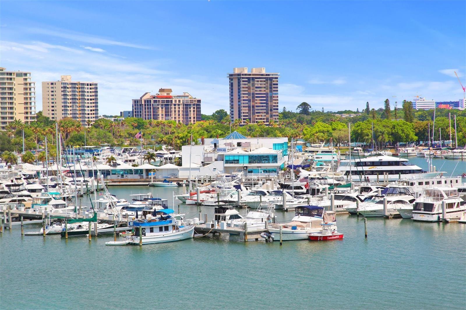2833 SUNNYSIDE ST, SARASOTA, FL, 34239