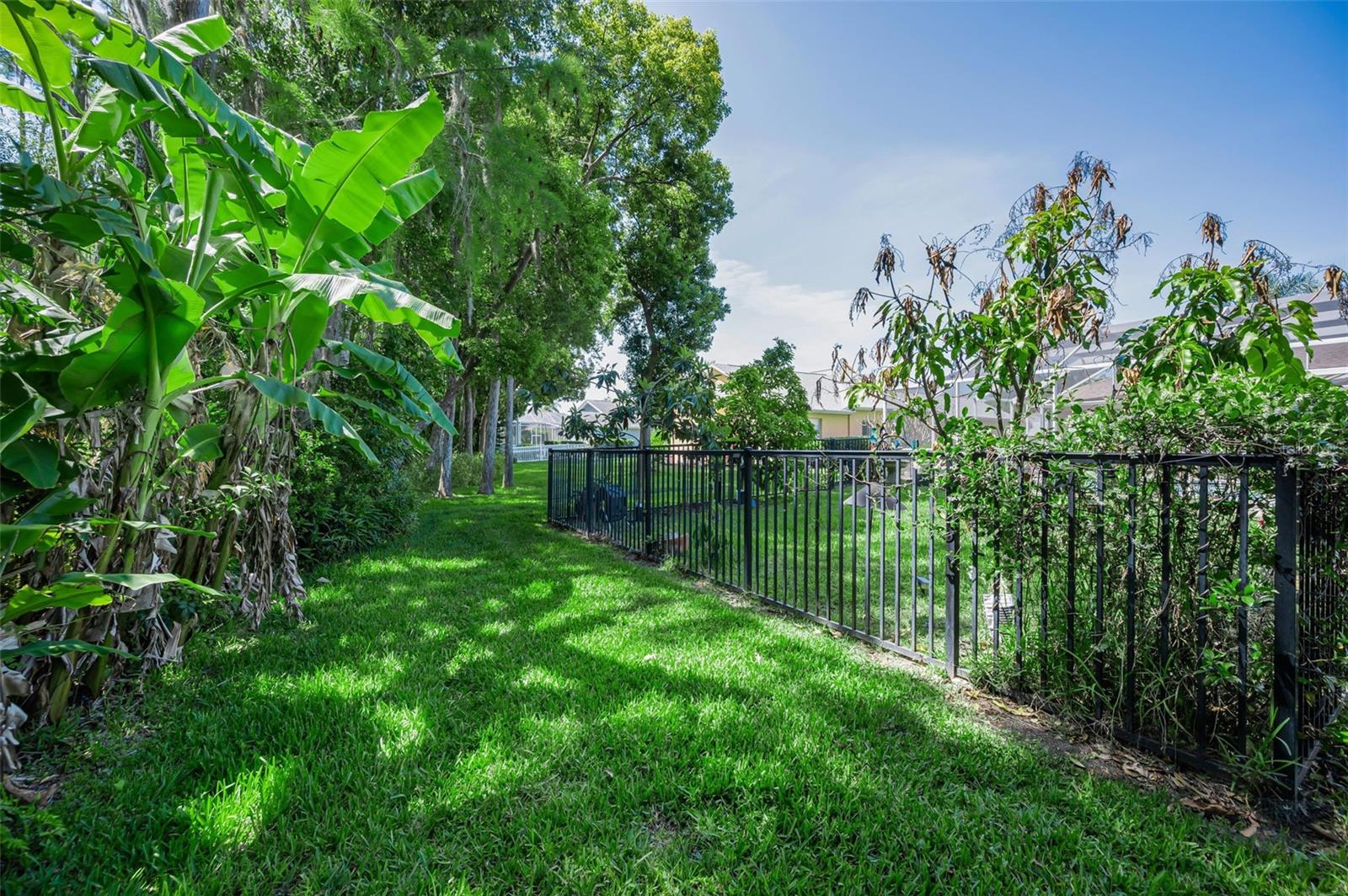 1234 ARLINBROOK DR, TRINITY, FL, 34655