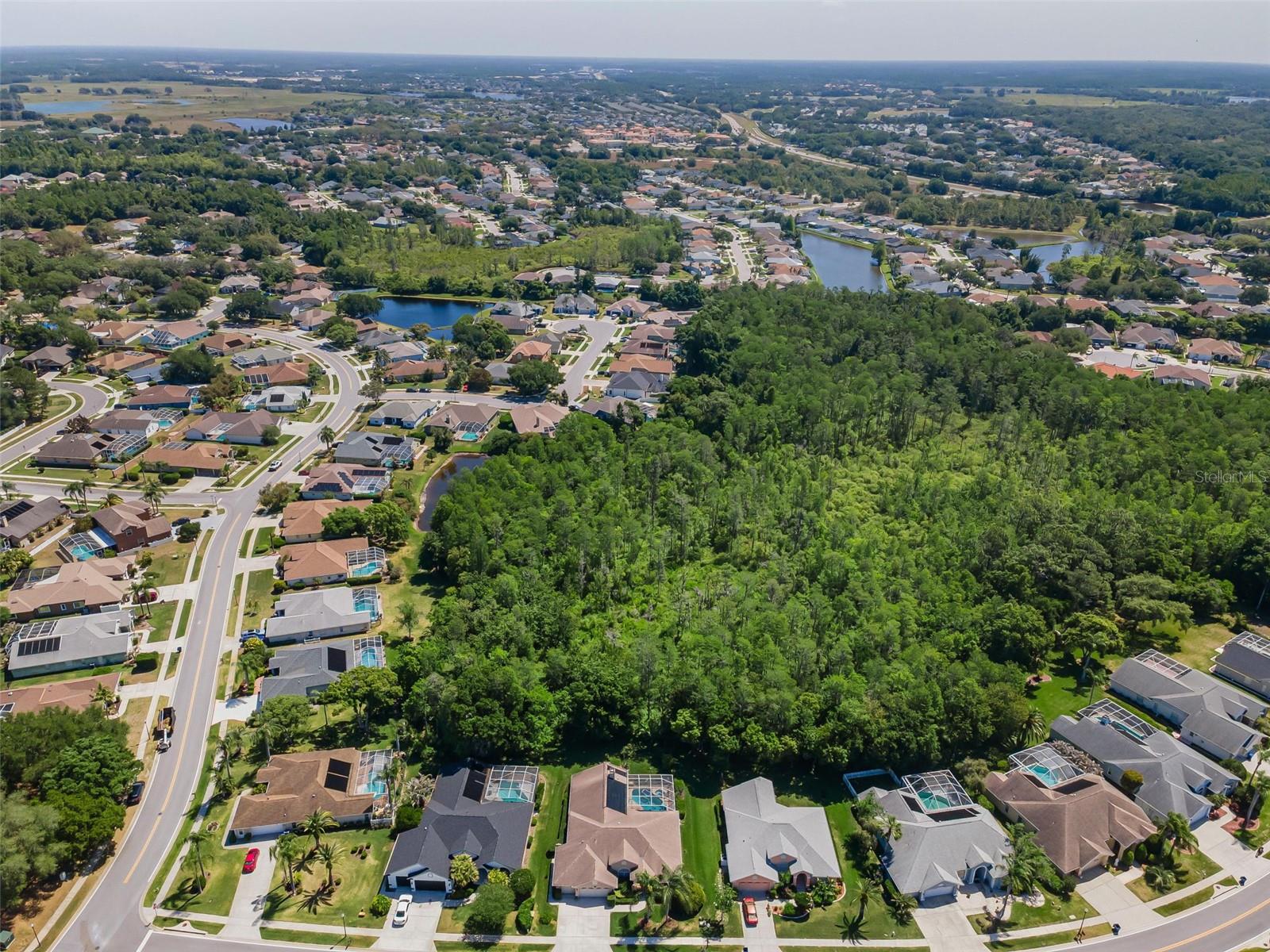 1234 ARLINBROOK DR, TRINITY, FL, 34655