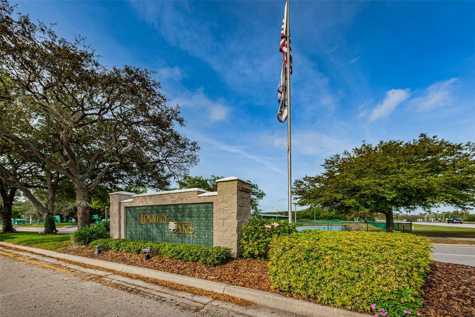 1234 ARLINBROOK DR, TRINITY, FL, 34655