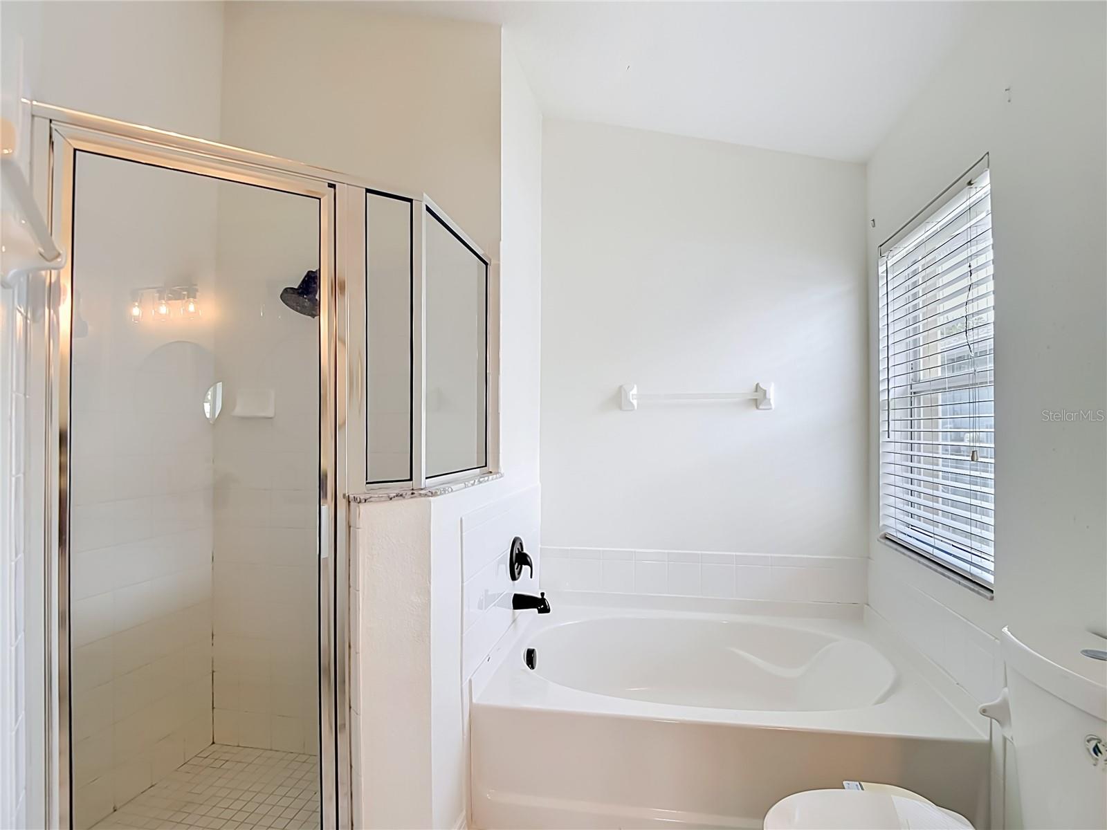 2818 MUSKY MINT DR, LAND O LAKES, FL, 34638