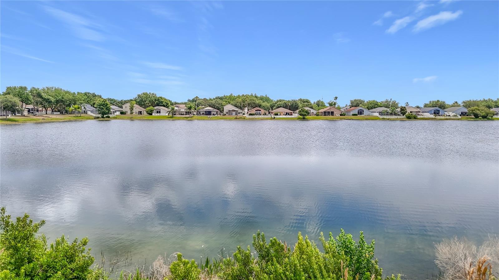 2818 MUSKY MINT DR, LAND O LAKES, FL, 34638