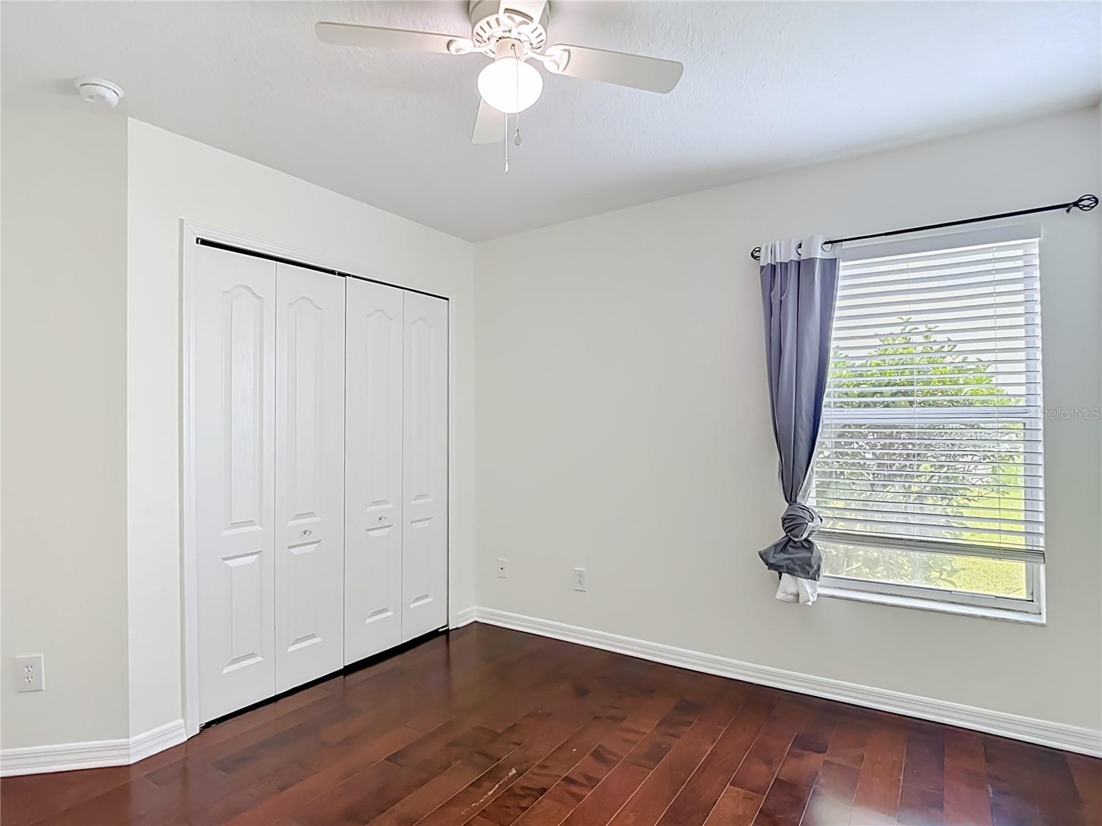 2818 MUSKY MINT DR, LAND O LAKES, FL, 34638