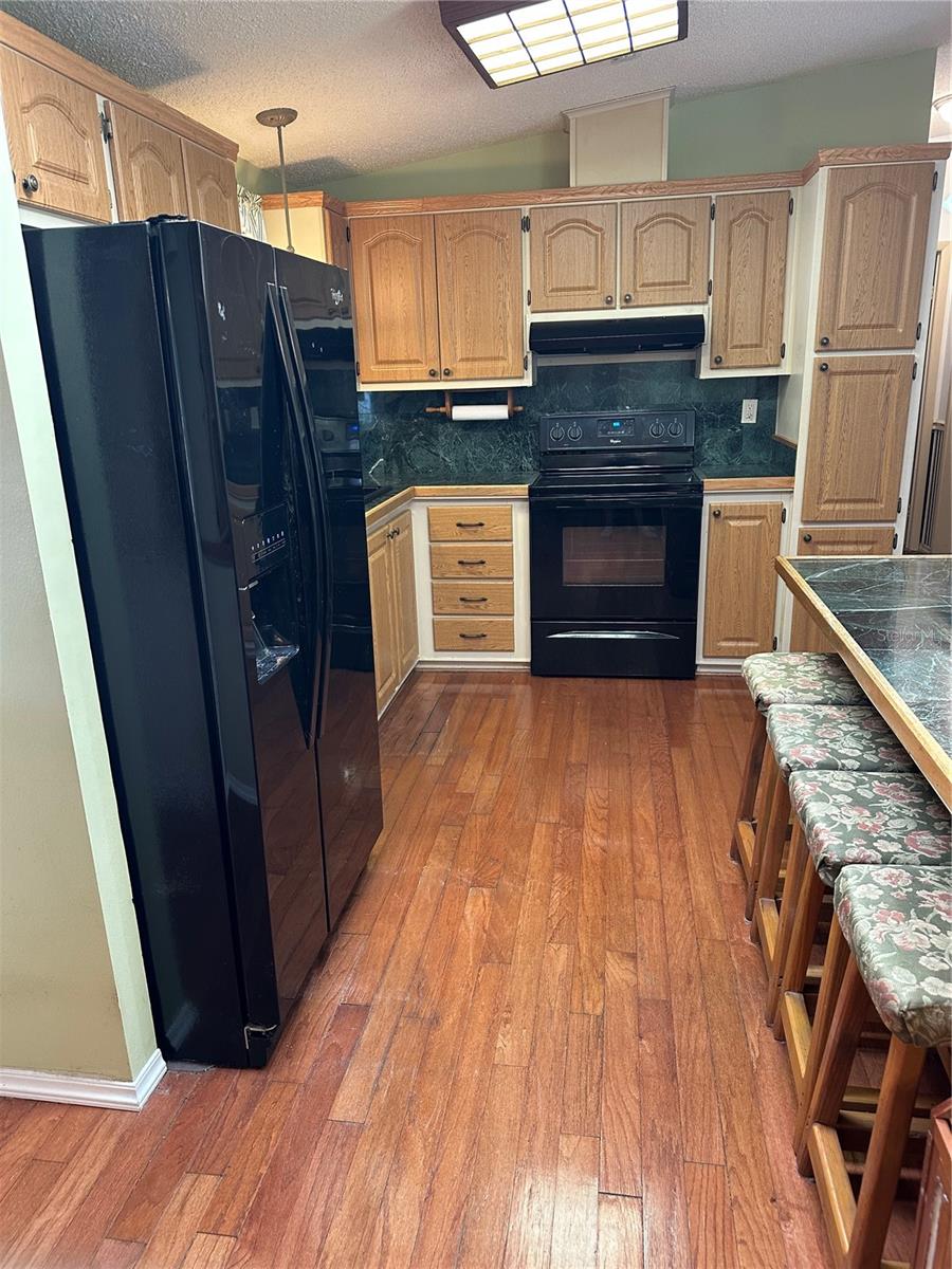 907 ORCHID ST, THE VILLAGES, FL, 32159