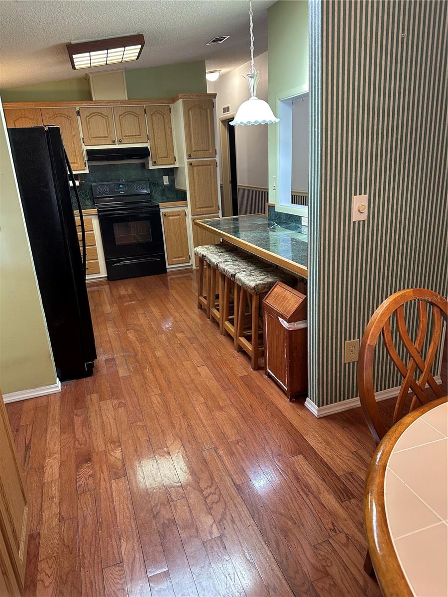 907 ORCHID ST, THE VILLAGES, FL, 32159