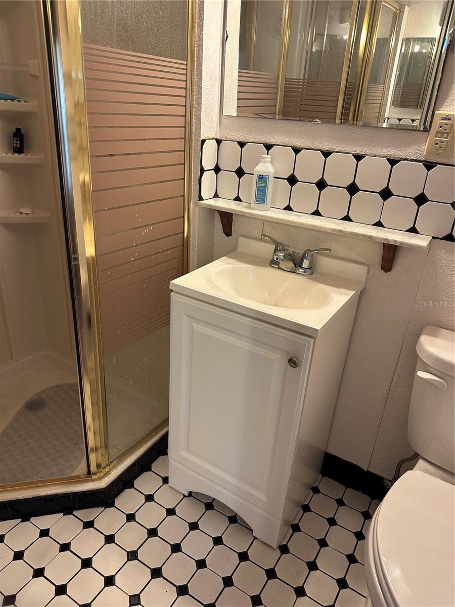 907 ORCHID ST, THE VILLAGES, FL, 32159