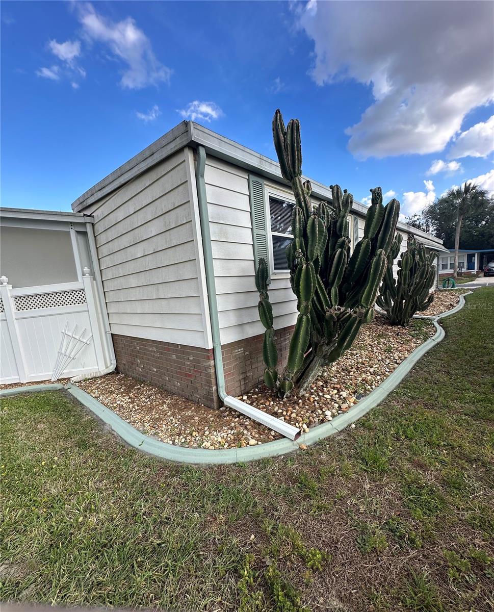 907 ORCHID ST, THE VILLAGES, FL, 32159