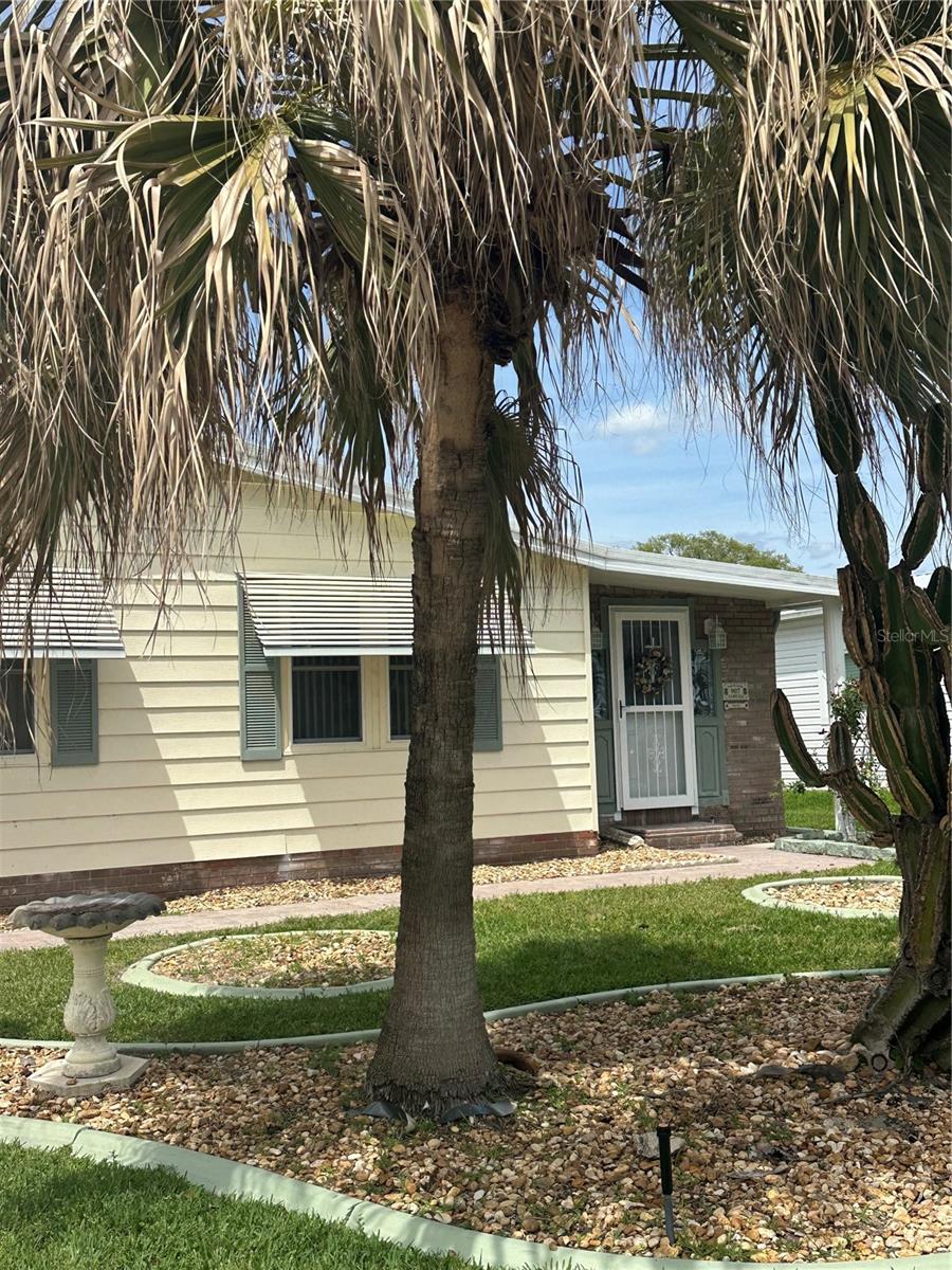 907 ORCHID ST, THE VILLAGES, FL, 32159