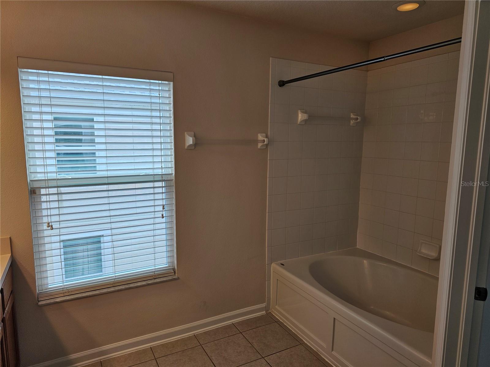 26638 CASTLEVIEW WAY, WESLEY CHAPEL, FL, 33544