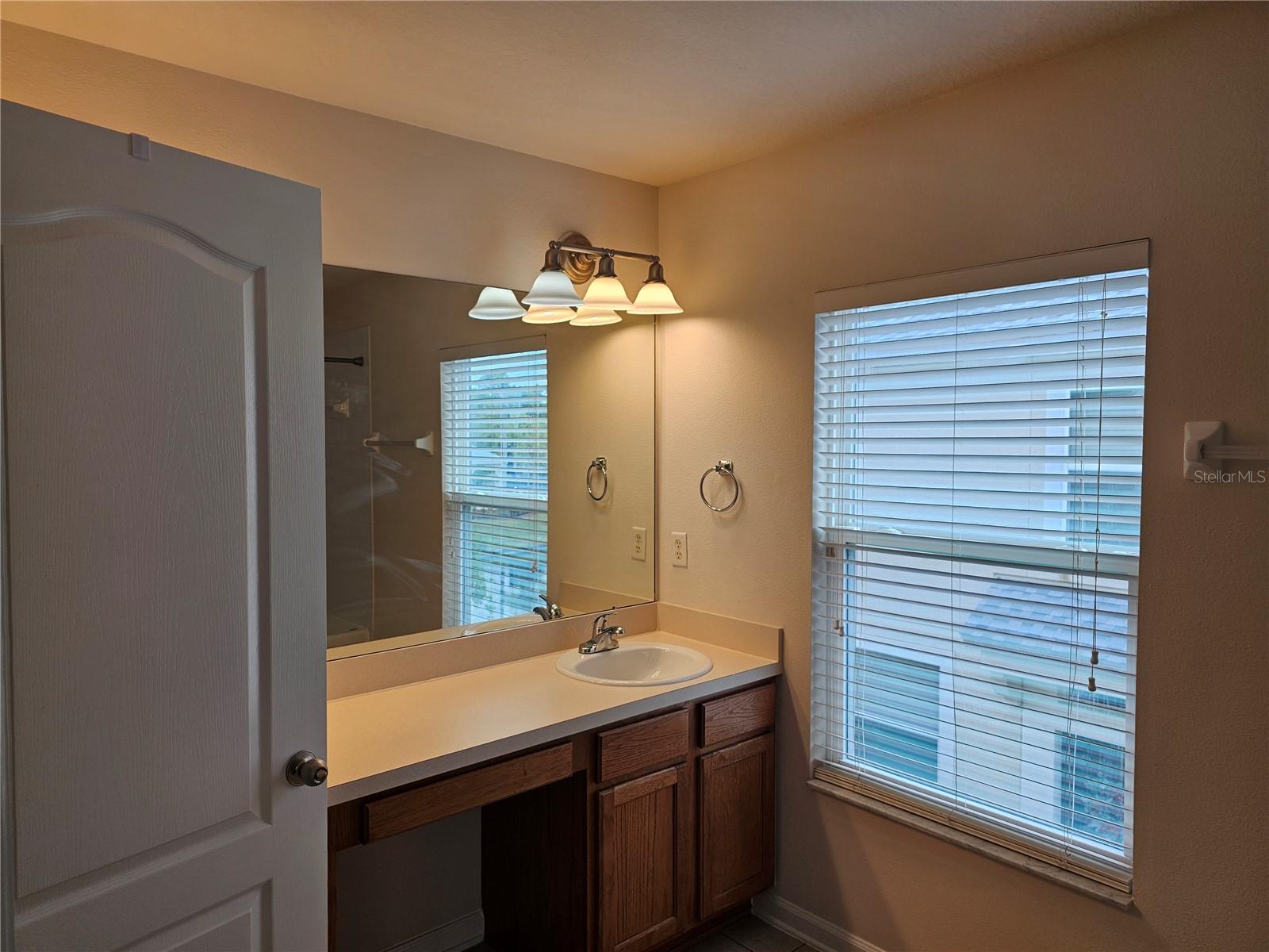 26638 CASTLEVIEW WAY, WESLEY CHAPEL, FL, 33544