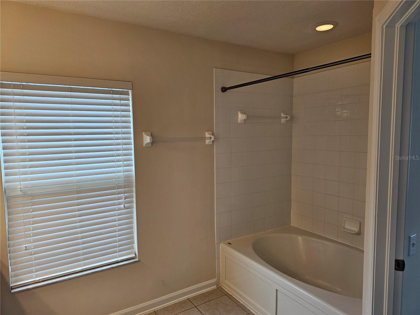 26638 CASTLEVIEW WAY, WESLEY CHAPEL, FL, 33544