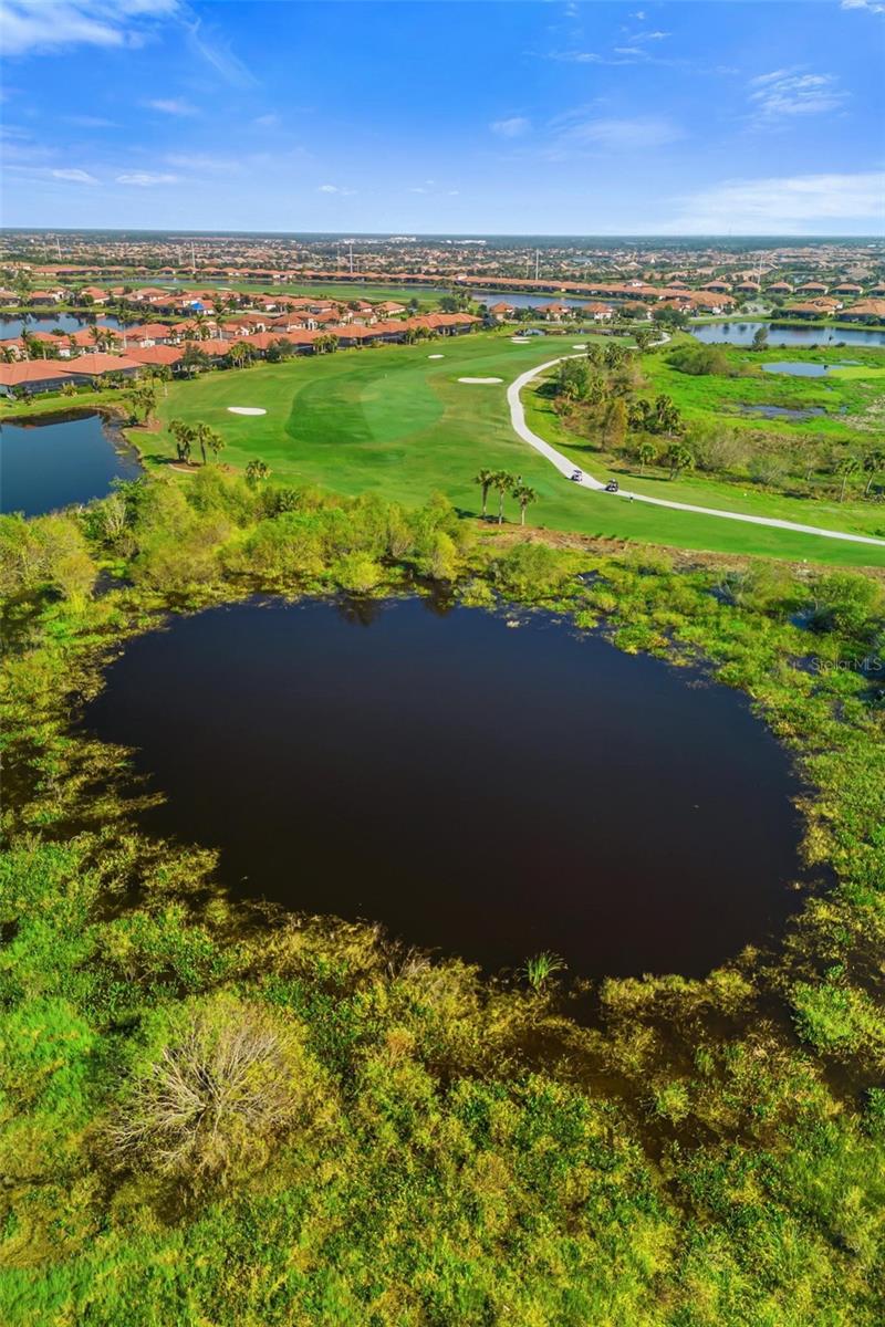 10157 COLUBRINA DR, VENICE, FL, 34293